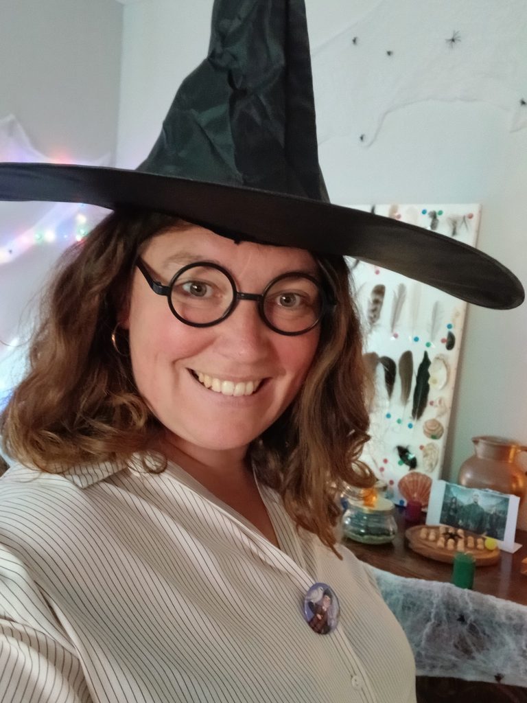 Anniversaire à domicile sur le thème d'harryvpotter a Dozulé Calvados